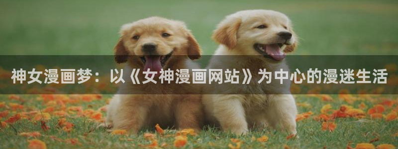 羞羞色漫在线观看的地址：神女漫画梦：以《女神漫画网站》为中心的漫迷生活